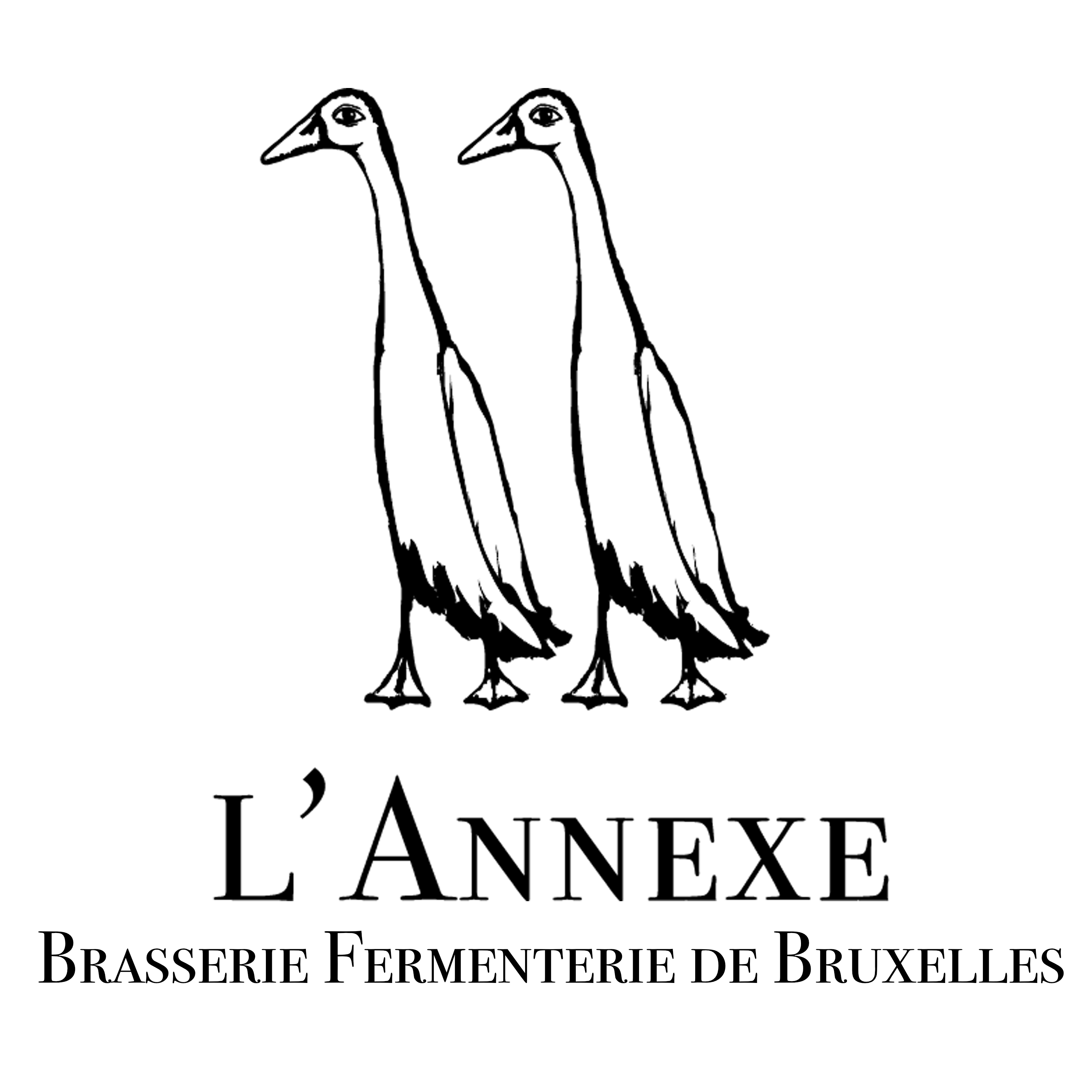 l'Annexe Brasserie Fermenterie