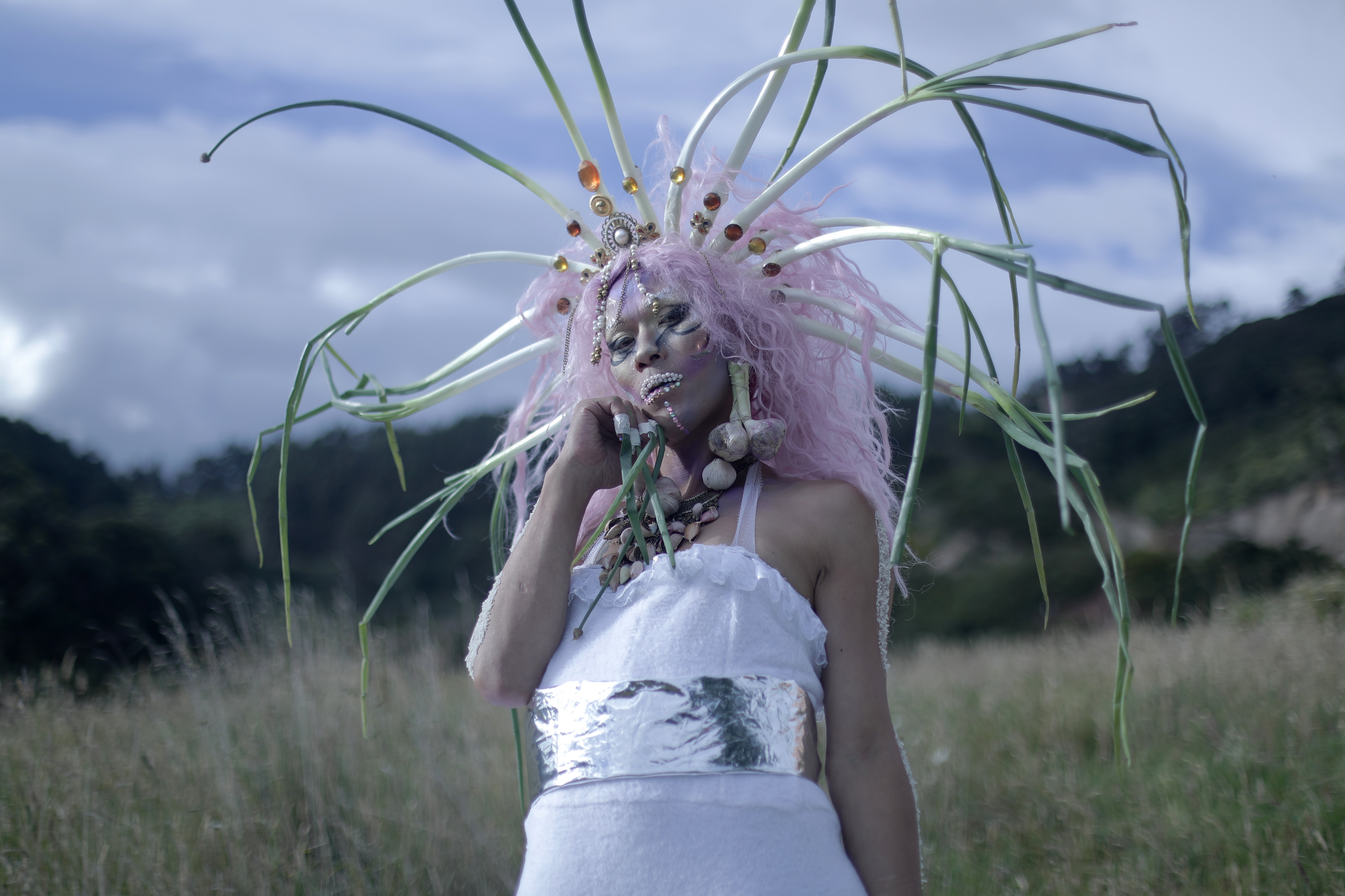 Continuum Collective