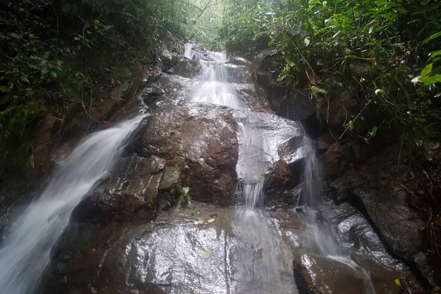 Imagen Cuatro cascadas espectaculares que no conoce de Cali