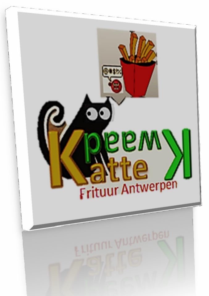Frituur kattekwaad
