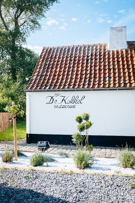 De new kokkel