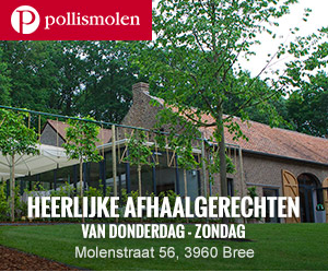 Pollismolen