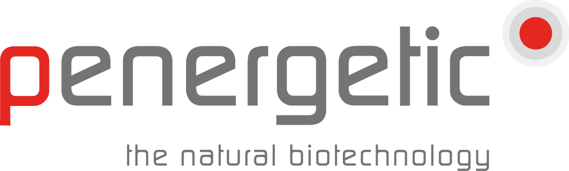 Logo for Penergetic New Zealand Limited