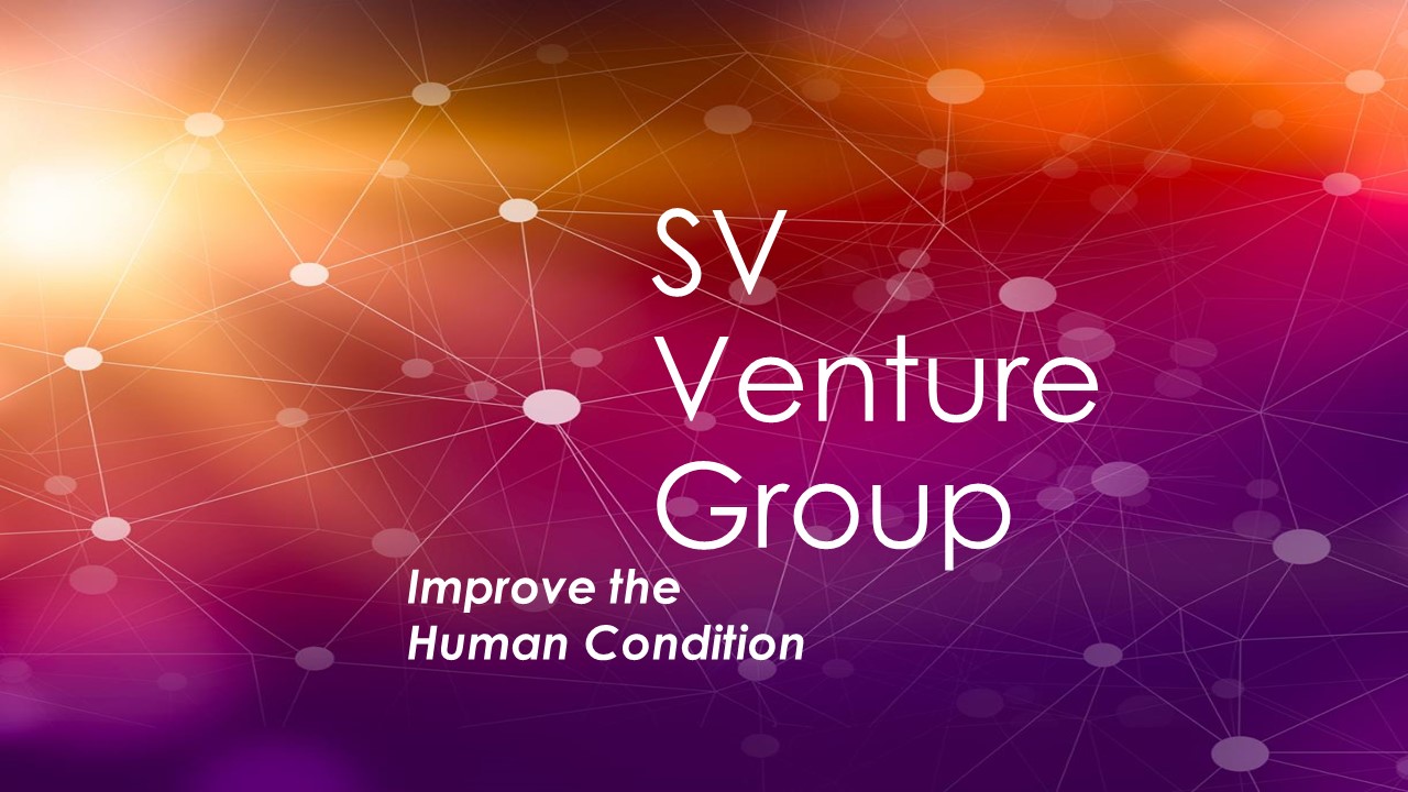 SV Venture Group logo