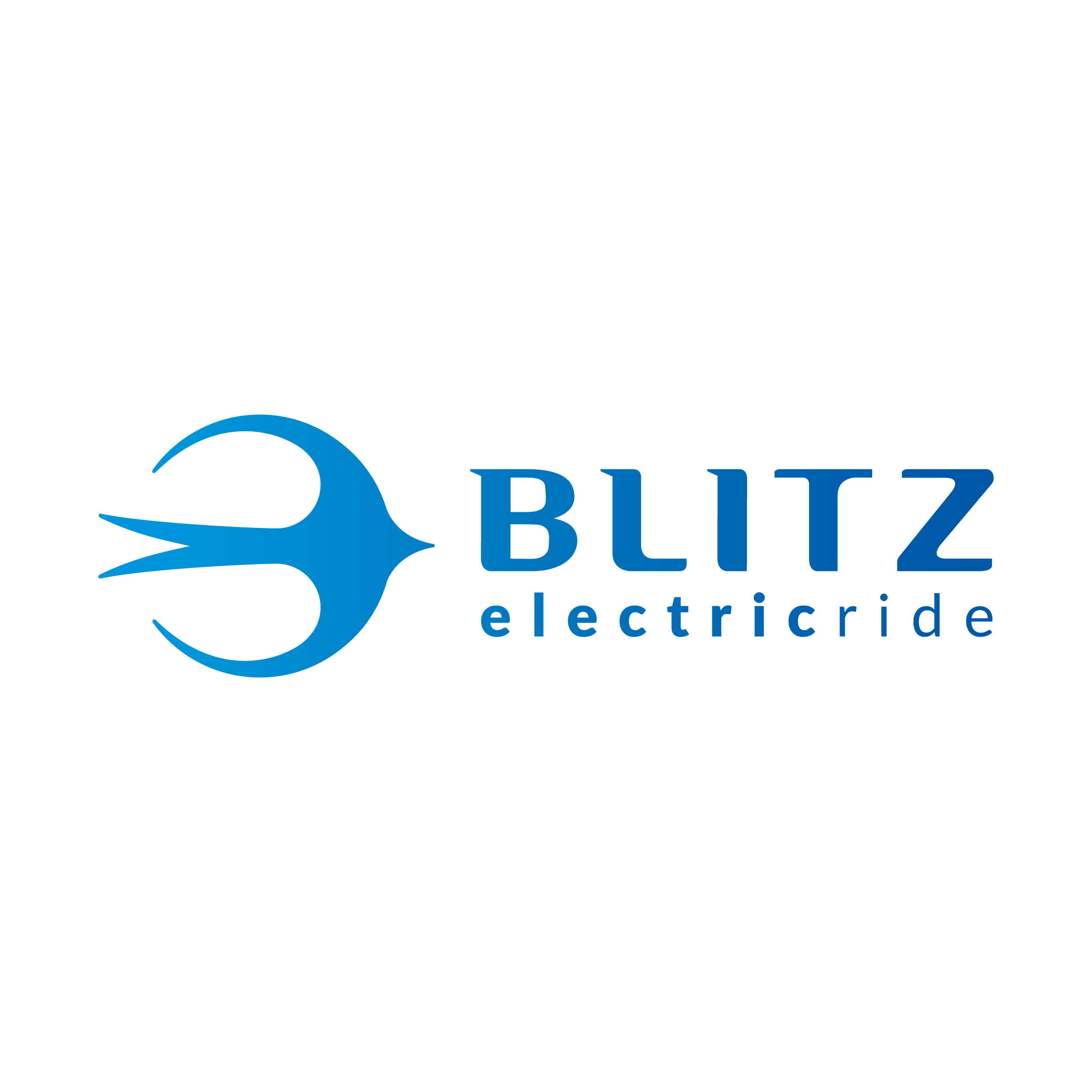 BLITZ TECHNOLOGIES