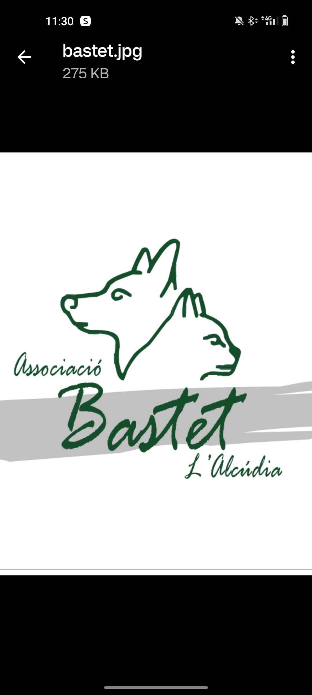 BASTET l'ALCÚDIA - ¿Qué hacemos?
Seguir alimentando a los gatos comunitarios y garantizar su bienestar.
¿A qué destinam... | Recaudación de fondos en Coral