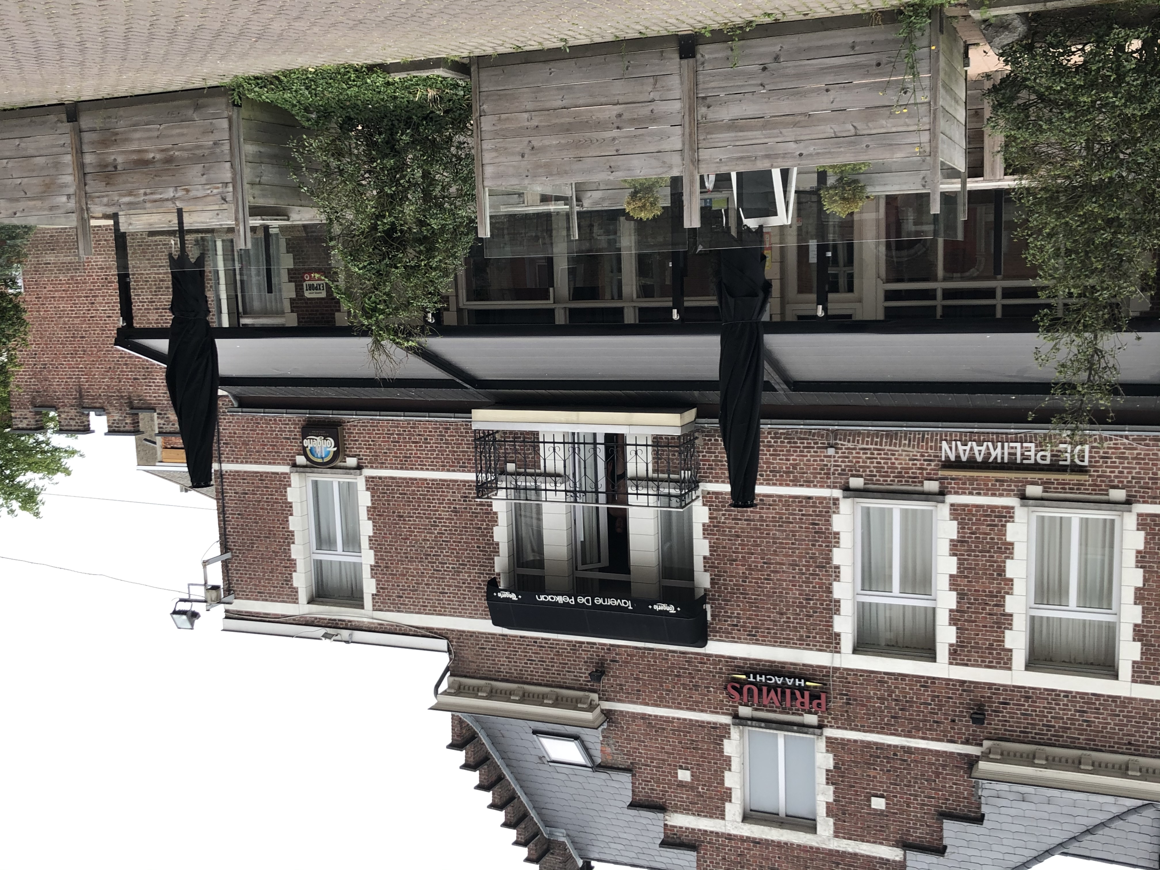 De Pelikaan
